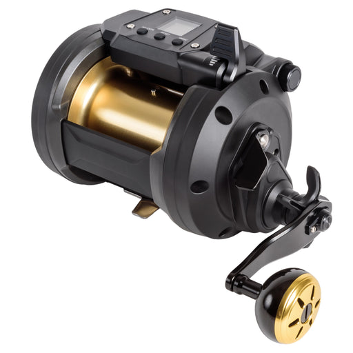 PENN International 50VISW 2-Speed Conventional Reel — Islamorada