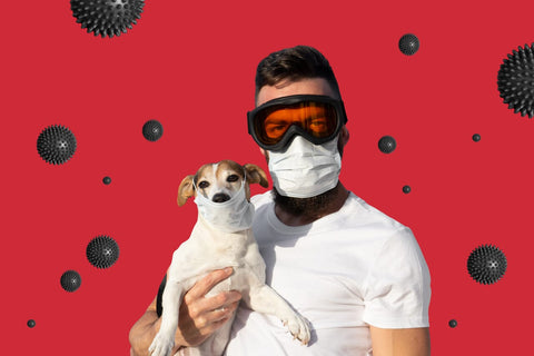 Man and Dog with Mask