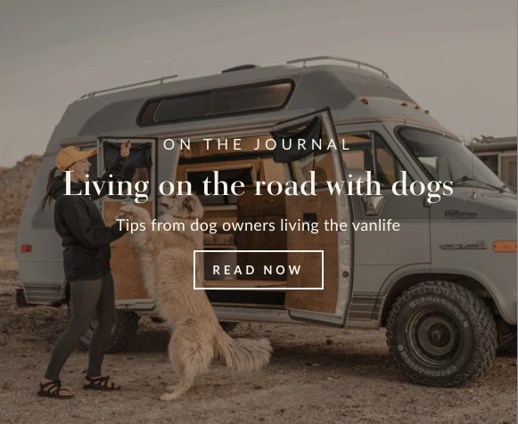 https://cdn.shopify.com/s/files/1/0561/1837/8694/files/Simpler_ways_vanlife_dogs_on_the_road.png?v=1670884903