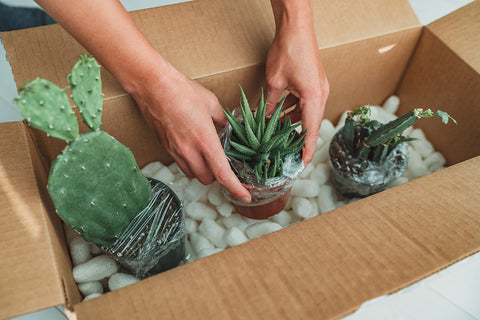 Packing plants for moving houses