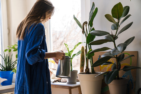 lady watering plants