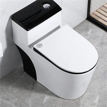 1.64+GPF+Dual-flush+Elongated+One-piece+Toilet+(seat+Included) (2)_result.png