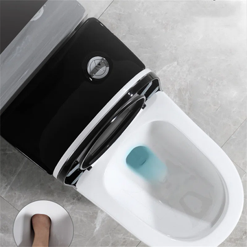 1.64+GPF+Dual-flush+Elongated+One-piece+Toilet+(seat+Included) (3)_result.png