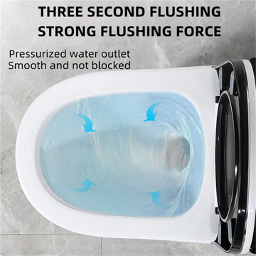 1.64+GPF+Dual-flush+Elongated+One-piece+Toilet+(seat+Included) (6)_result.png