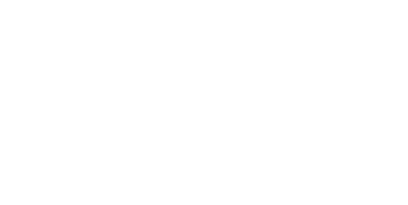 Director Message