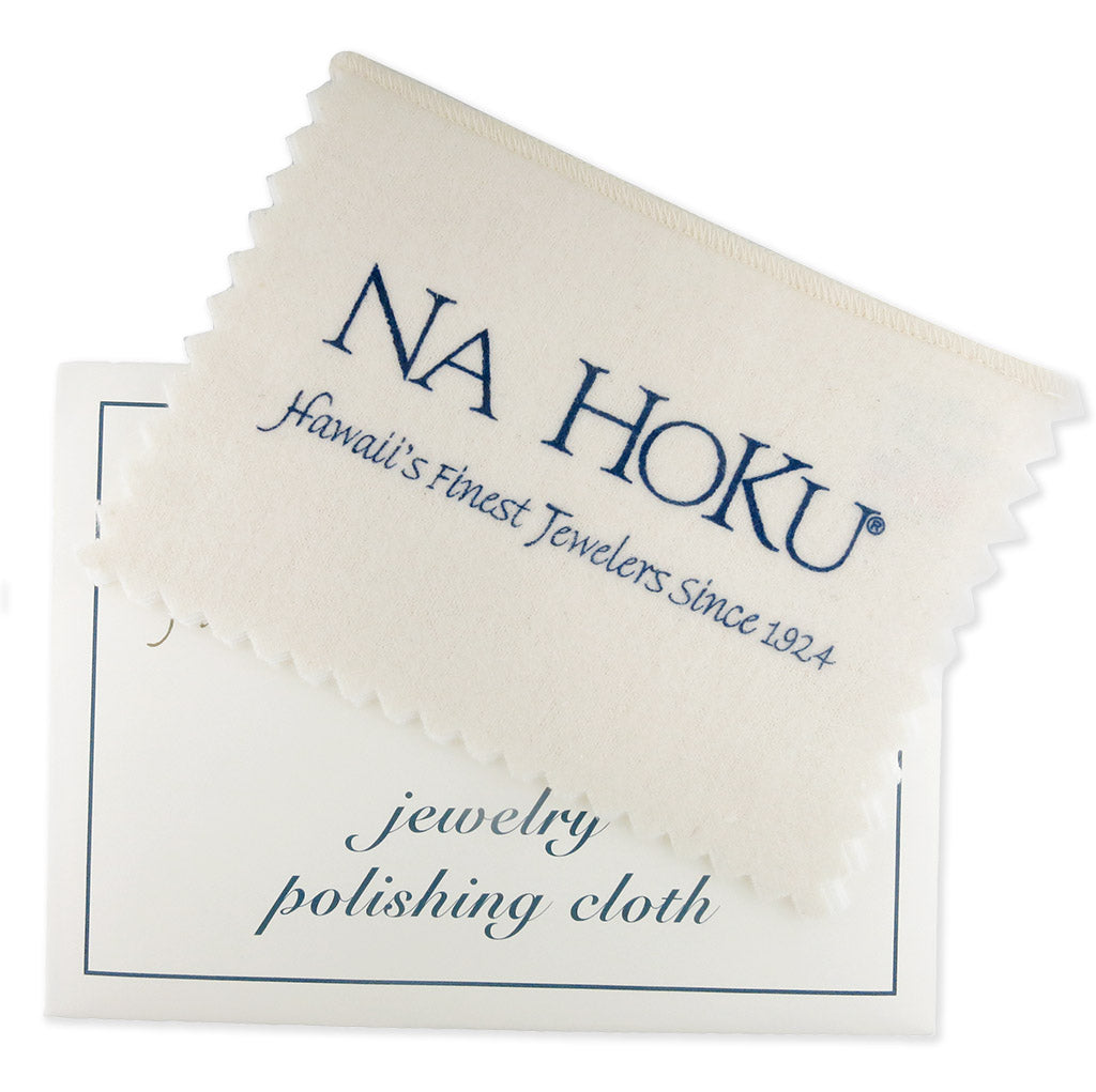 Na Hoku Jewelry Cleaner