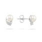 14487 - 14K White Gold - Maile Leaf Stud Earrings