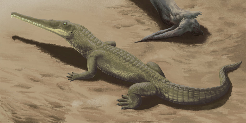 Phytosaur Illustration, source: commons.wikimedia.org/wiki/File:Protome_batalaria.jpg
