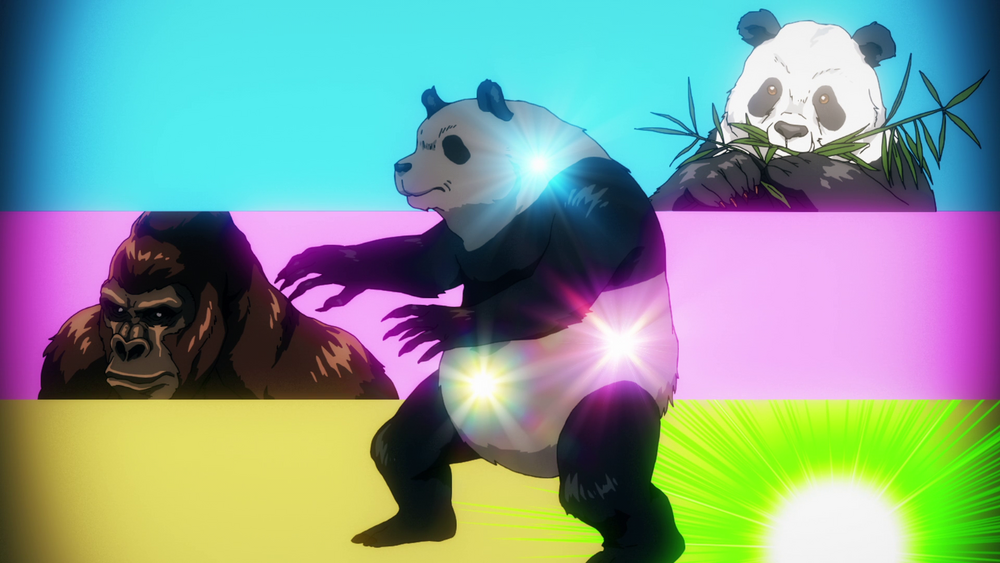 Il existe trois noyaux dans le corps de Panda