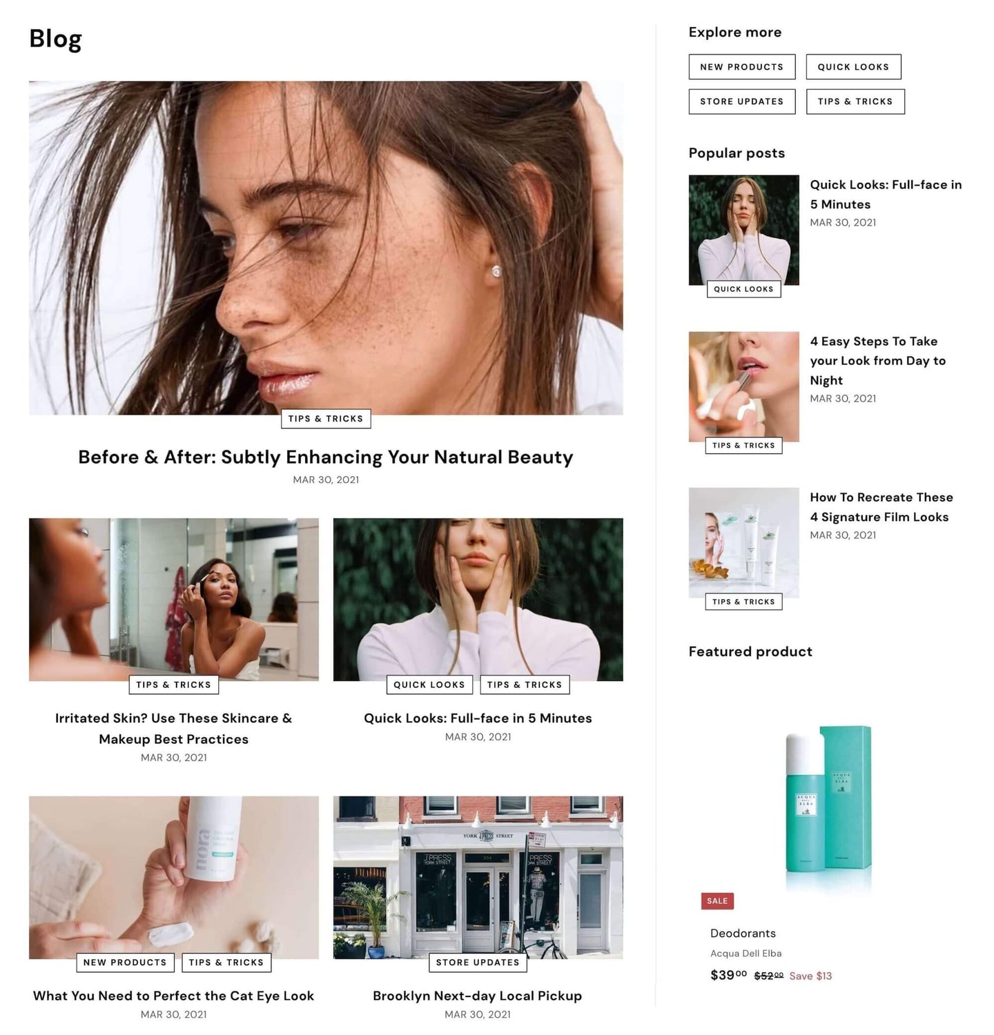 Shopify Theme Expanse Blog Template