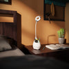T2 Table Lamp with Pen Stand & Plant Pot