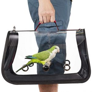 domesticated bird in travel cage