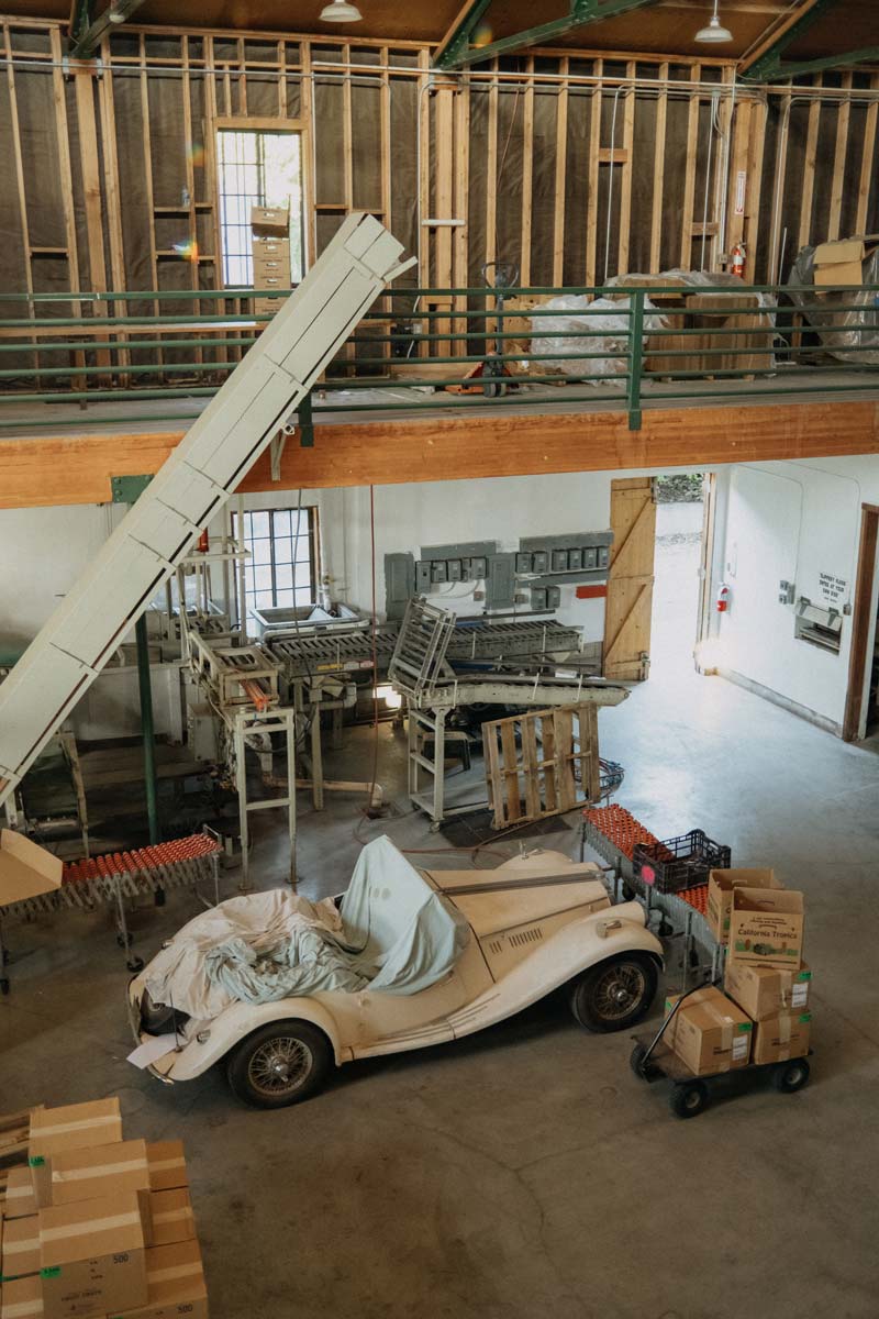 Her grandmother’s vintage car and other heirlooms are stored in the old packing plant of Christine’s family’s farm.