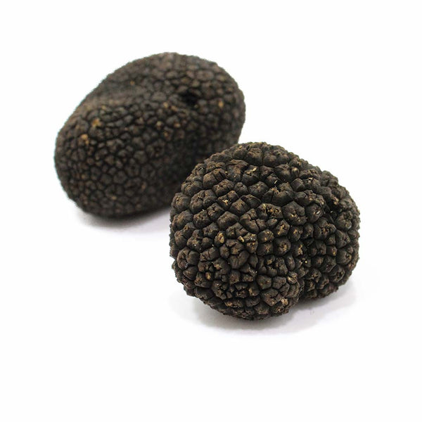 Black Winter Truffle Pieces by Pebeyre 0.44 oz