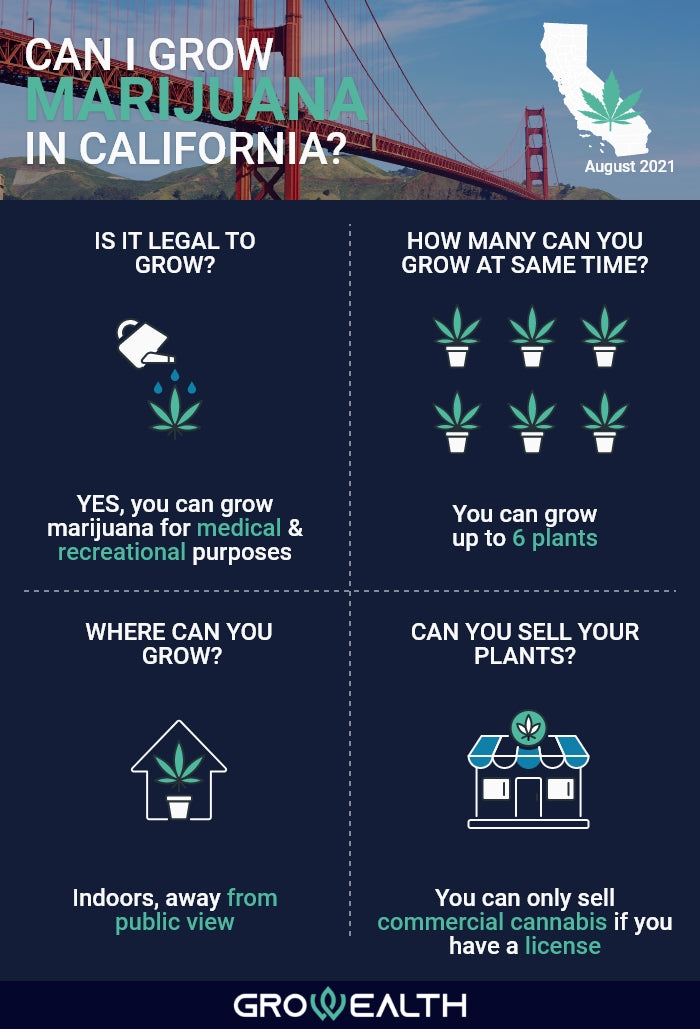 Infographic about cannabis cultivation in California