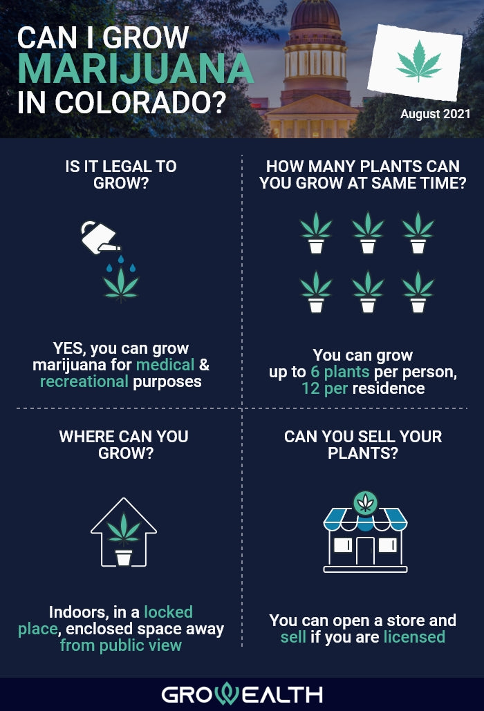 Infographic about cannabis cultivation in Colorado