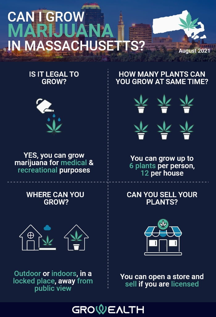 Infographic about cannabis cultivation in Massachusetts