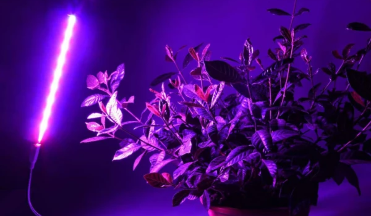 indoor-led-plant-grow-light-strip-2559