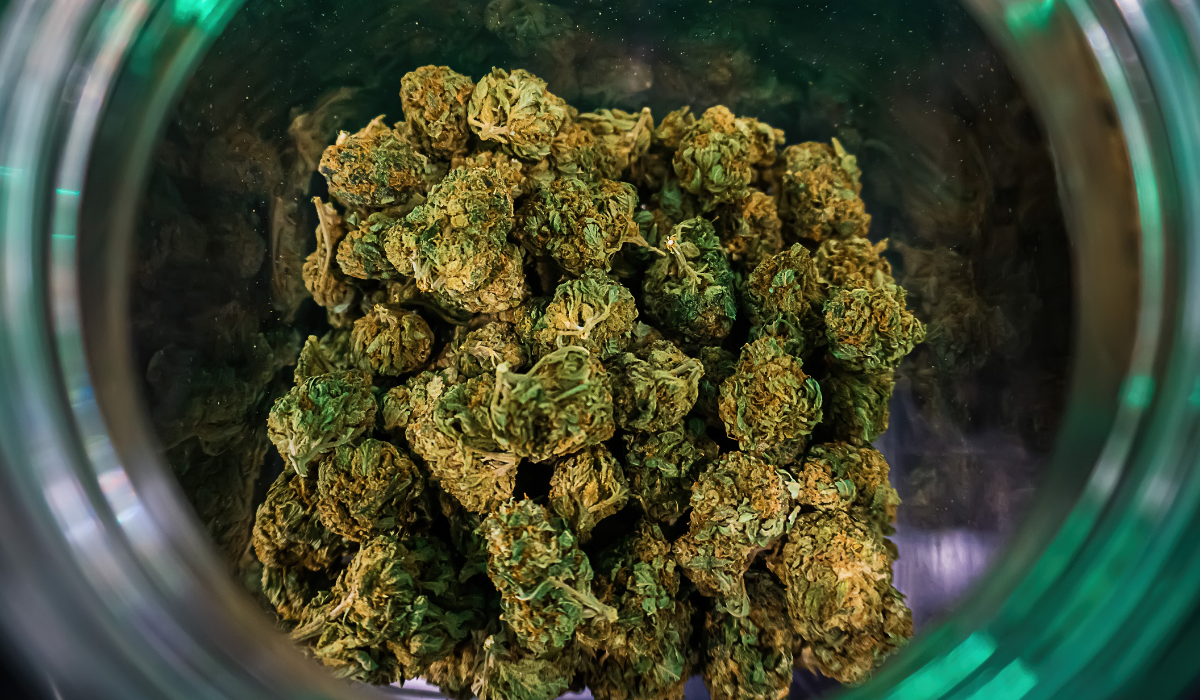 marijuana-hemp-flower-buds-in-glass-jar-medical-marijuana