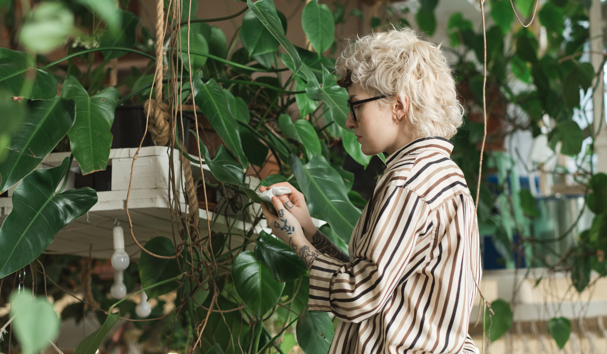 woman-caring-about-leaves-of-the-plant