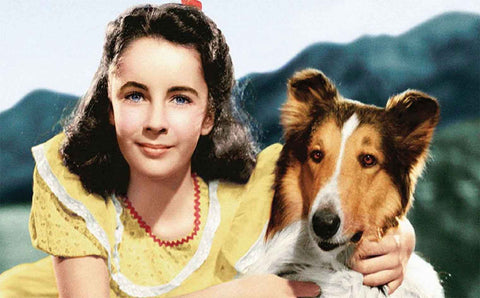 Top 20 Most Famous Movie Dogs We Wish Were Our Pets - Snack at Franks