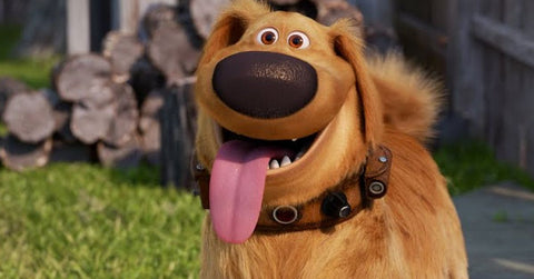 Dug from Disney's Up