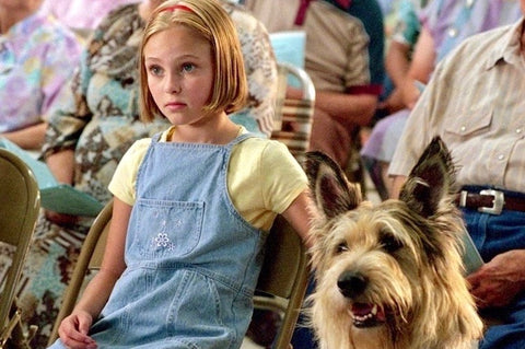 Disney Movie Insiders on X: Every dog has its day. #InternationalDogDay   / X