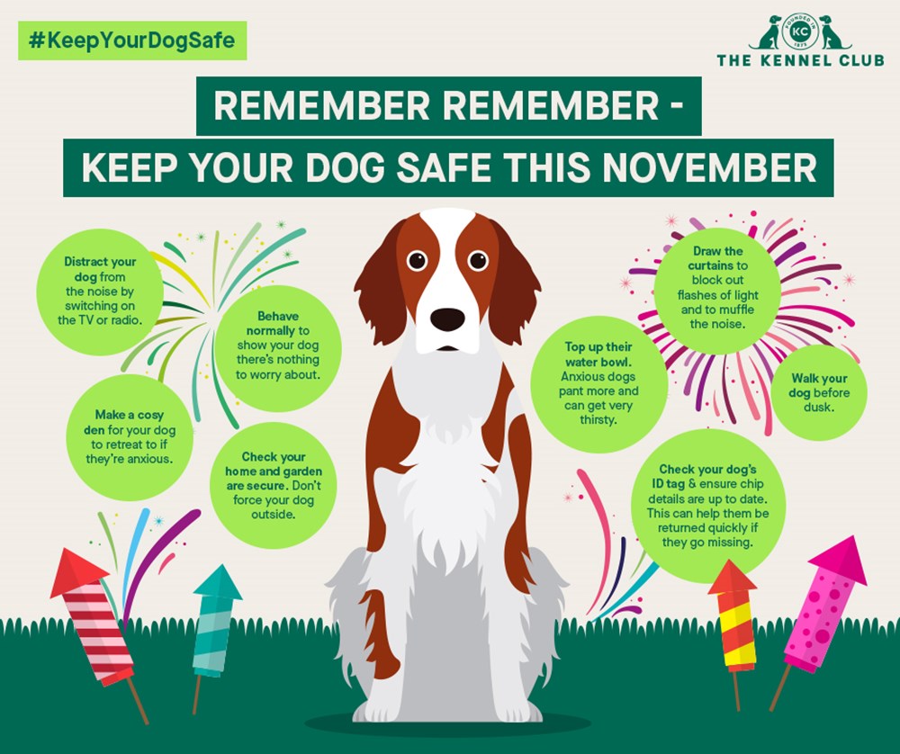 Fireworks Infographic from Kennel Club UK