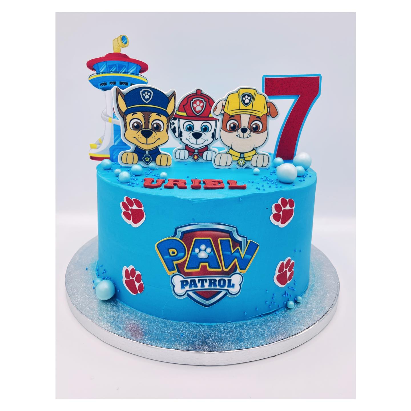 blue paw patrol birthday cake – Cambridge Fancy Cakes