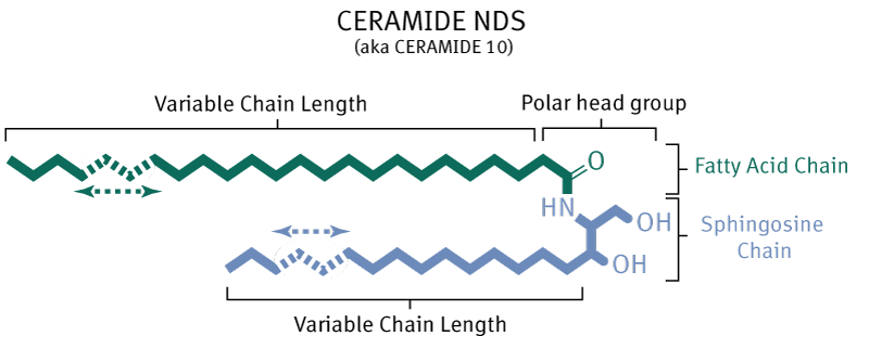 Ceramide NDS Chemical Diagram