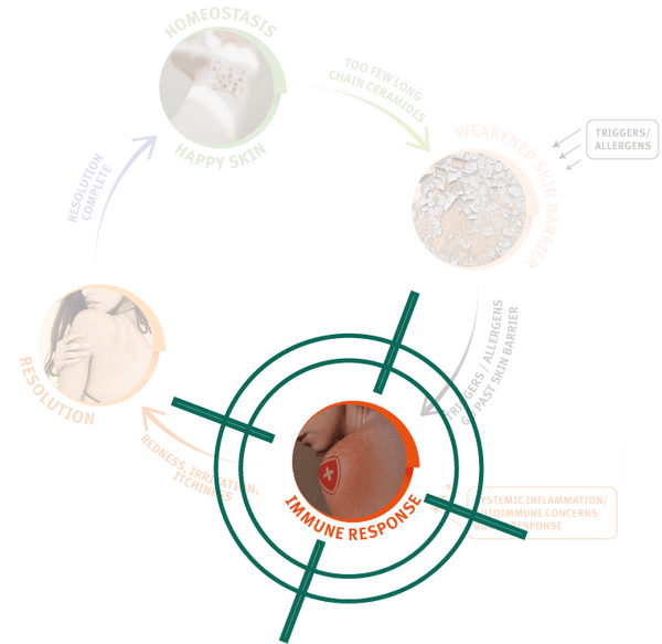 Targeting immune response to provide eczema symptom relief