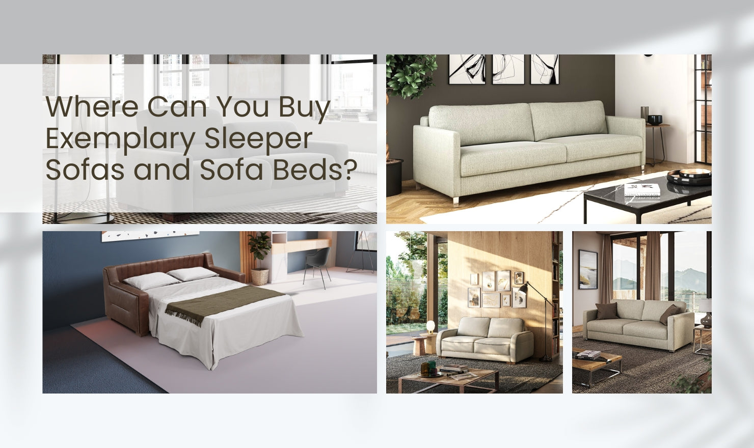 Where Can You Buy Exemplary Sleeper Sofas and Sofa Beds