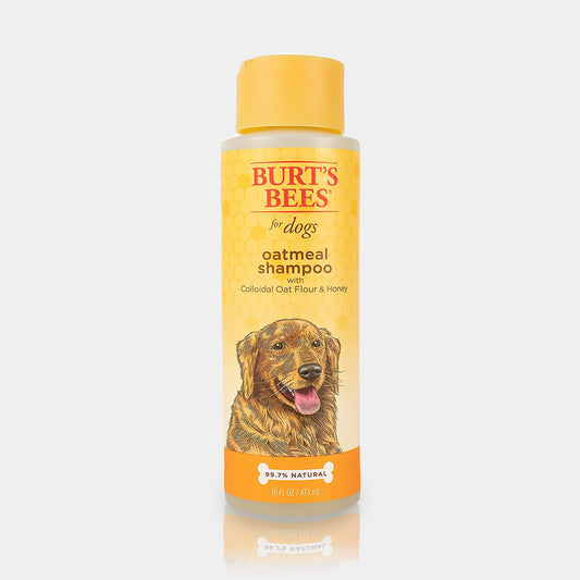 Fresh Step Bolsa De Basura Con Cordón Y Aroma De Arenero Para Gato – Vida  de Perro