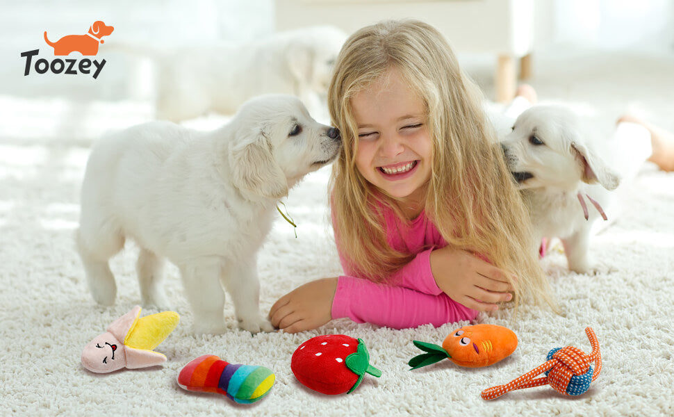 Toozey-dogs-play-with-child