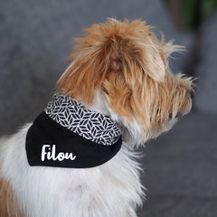 Hund mit Hunde-Halstuch, das mit dem Namen des Hundes (hier am Bild: "Filou") personalisiert wurde.
