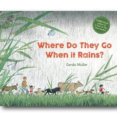Where do they go when it rains book
