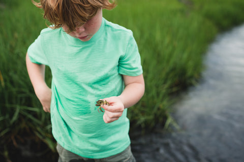 Boy holding crab at the beach