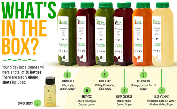 Raw Fountain Juice 5 Day Cleanse Original Flavors