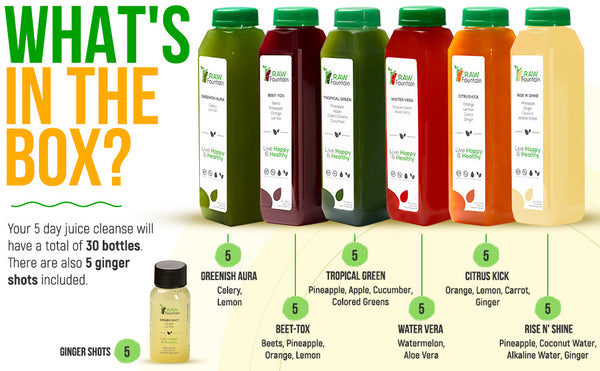 Raw Fountain Juice 5 Day Cleanse Tropical Flavors