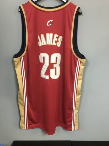 lebron james rookie jersey