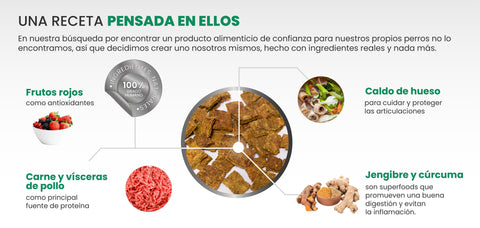 receta de premios saludables oonagis