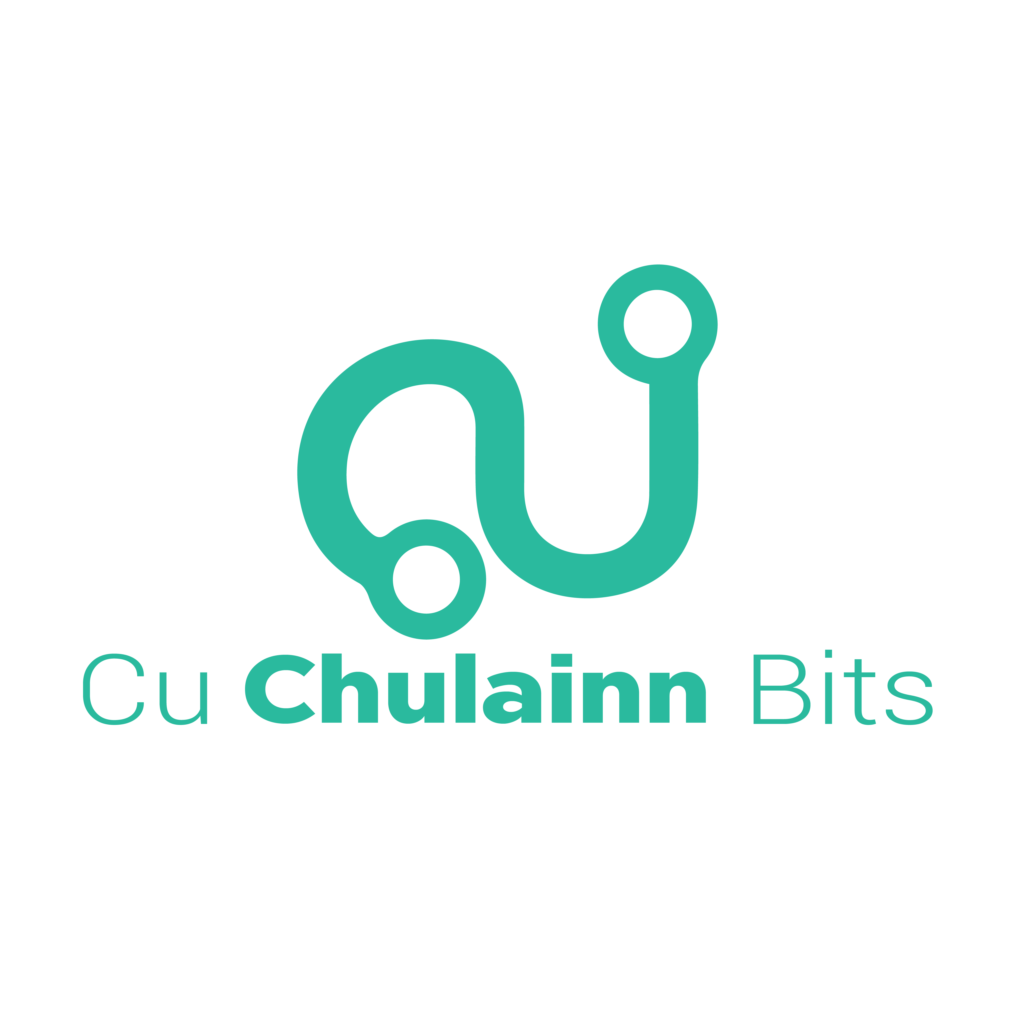 Cu Chulainn Bits Limited