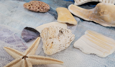 Fabric and natural shell embellishments