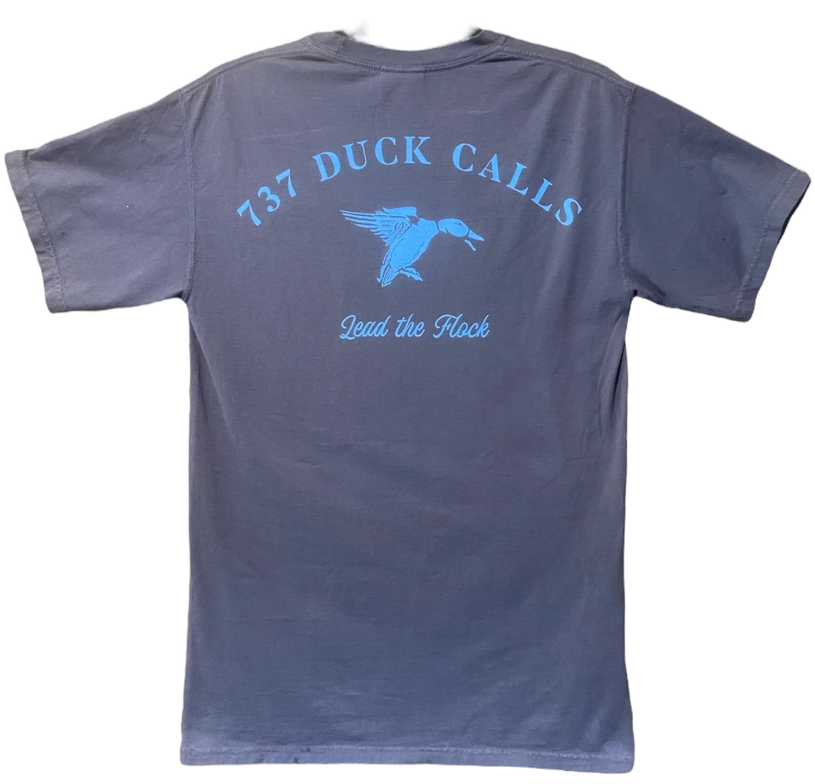 Blue Lead The Flock