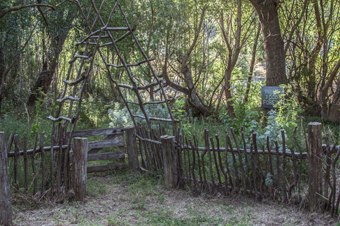 Entry gate to the main wild Food Forest