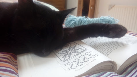 blogtober favourite things about autumn black cat sleeping on a book