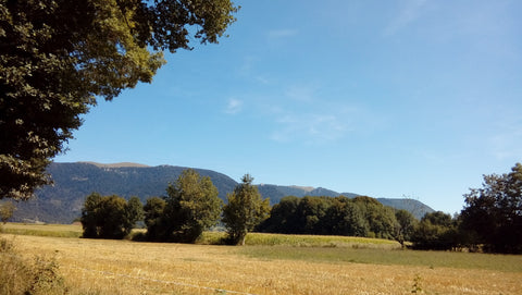 View onto the Grand Colombier, with trees and a field in the foreground, under a blue sky