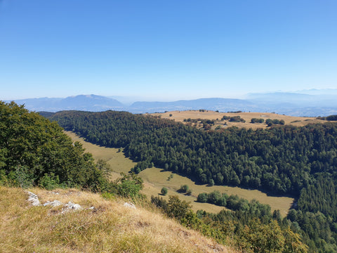 view onto the east from Col de la Biche, with "combes" covered in grass and trees, and the Alps in the background