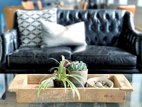 Schwarzes Ledersofa mit Gebrauchsmerkmalen mit Kissen hinter Tisch mit Holzschale und Pflanzen