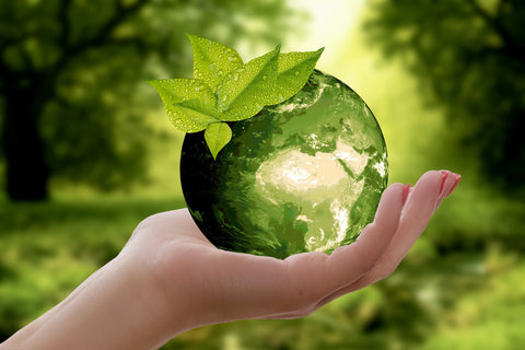 Hand, die blühende Glaskugel als Symbol für gesunde Umwelt und Nachhaltigkeit hält, grüne Natur im Hintergrund